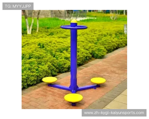 运动健身器材种类 全面了解不同健身器材的功能